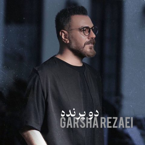 آهنگ گرشا رضایی دو پرنده