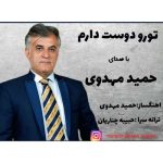 آهنگ حمید مهدوی تورو دوست دارم