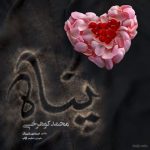 آهنگ محمد کوهرخی پناه