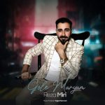 آهنگ رضا میری گل مریم