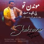 آهنگ سعید شهسواری موندن تو بی فایده ست (شهسوار)