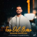 آهنگ شهاب رمضان تو دل برو