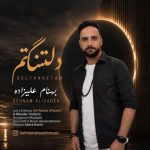 آهنگ بهنام علیزاده دلتنگتم