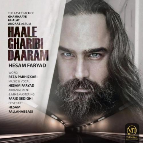 آهنگ حسام فریاد حال غریبی دارم