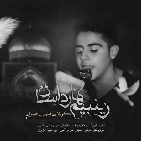 آهنگ متین نصرتی زینبیم هارداسان