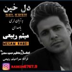 آهنگ میثم ربیعی دل خین (لری)