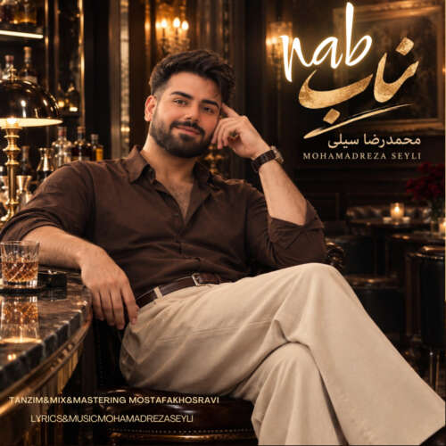 آهنگ محمدرضا سیلی ناب