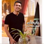 آهنگ مصطفی زارع باب دلمی