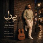 آهنگ سعید فراهانی بی دل